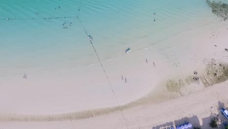 aerial view of tropical beach with tourists