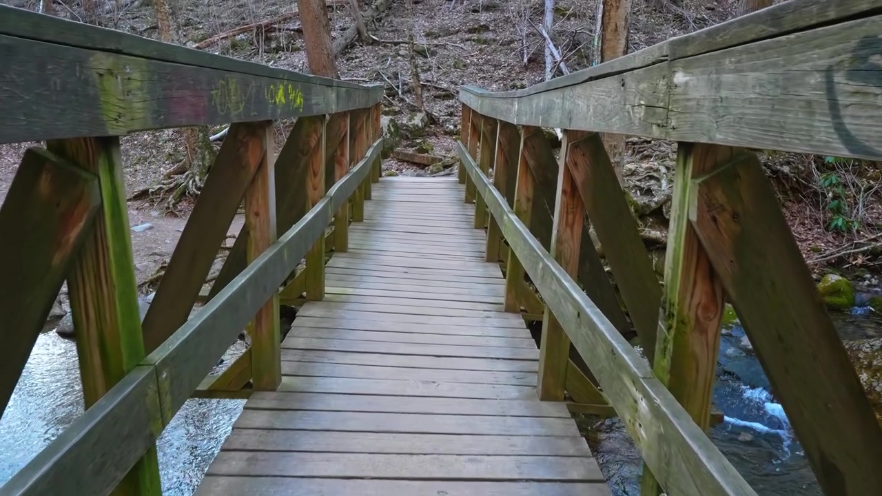 Ponte pedonale in legno su ruscello di montagna in zona boscosa. Inquadratura simmetrica di una passerella in legno che attraversa un ruscello roccioso poco profondo in una fitta foresta.