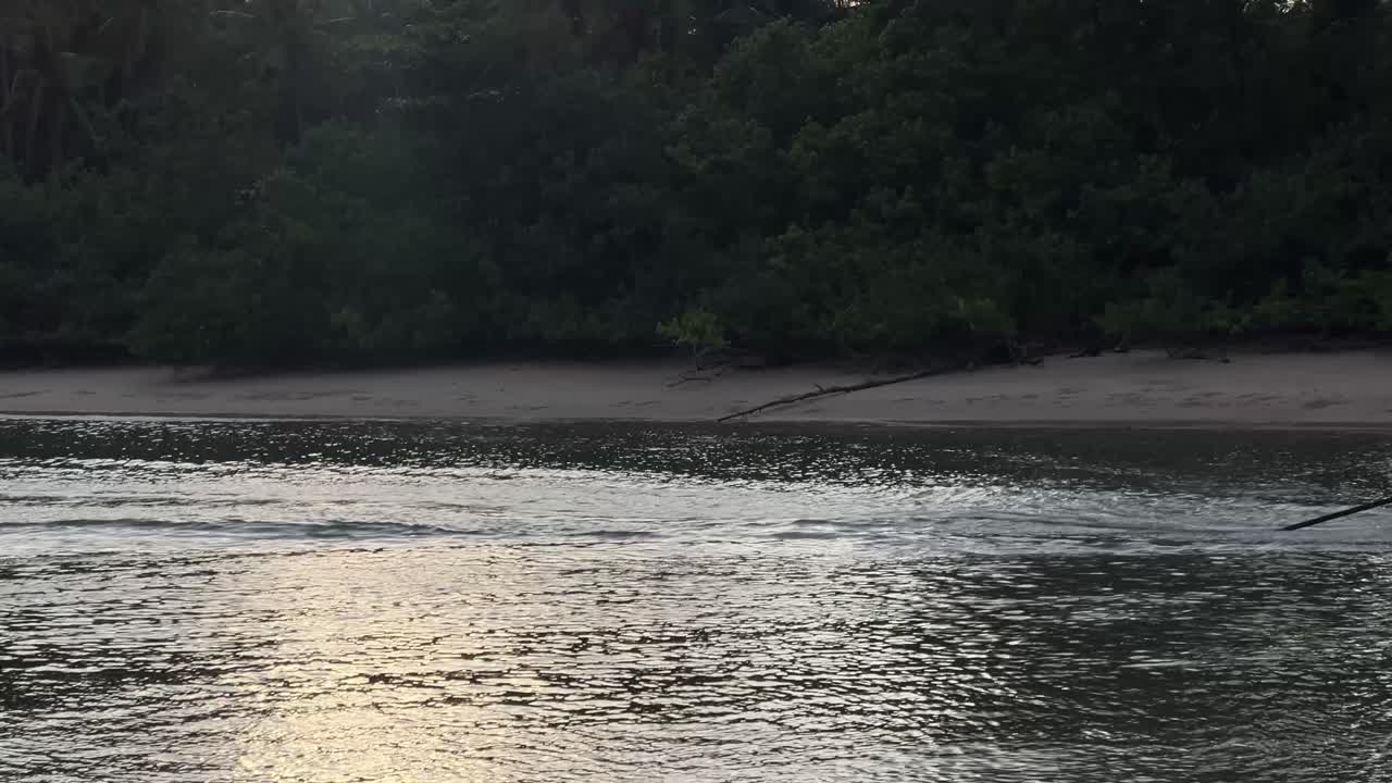 숲 속 의 강 의 아름다운 풍경