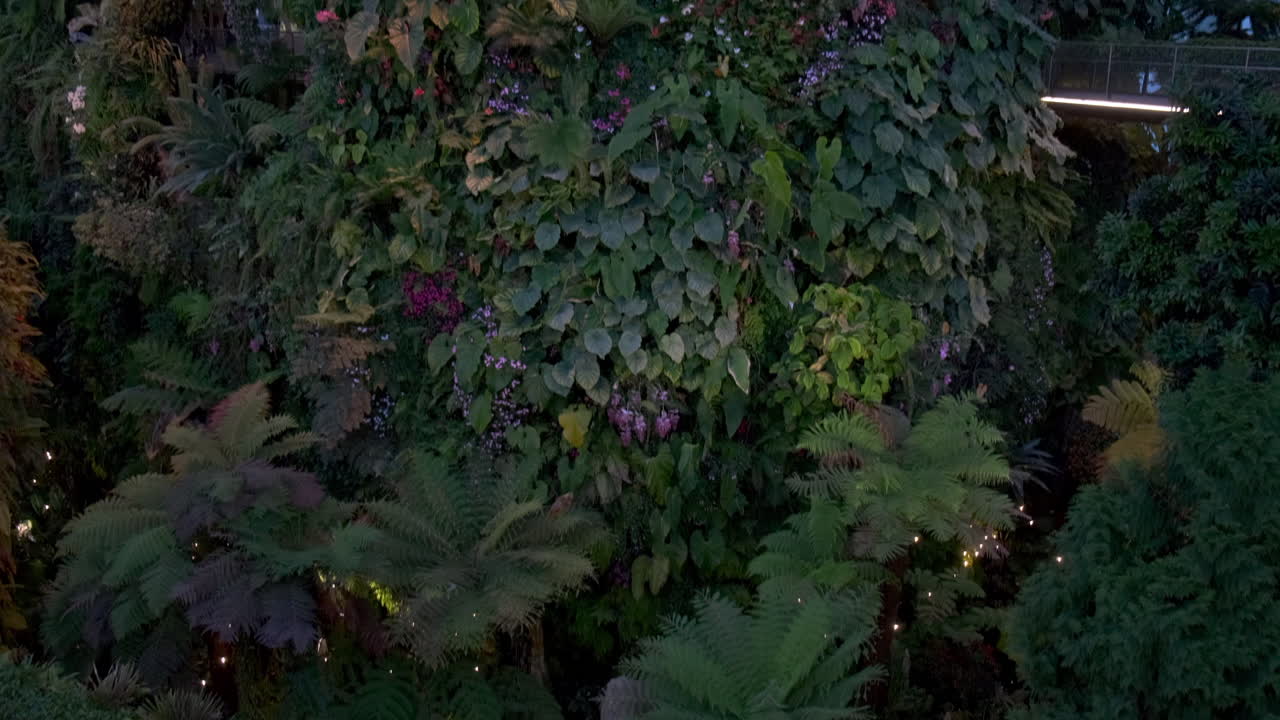 Jardines junto a la bahía por la noche