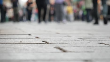 blurred crowd walking on a stone pavement in a city