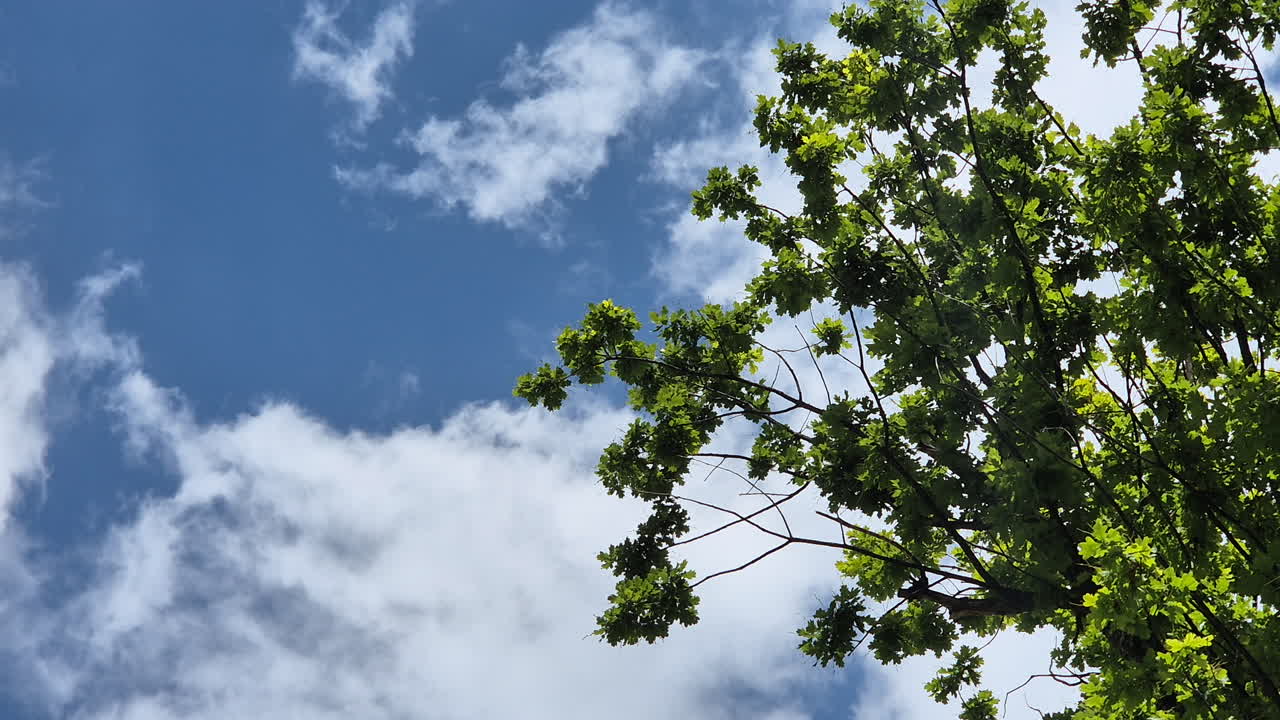 떨어지는 비행기로 인한 항공 재해