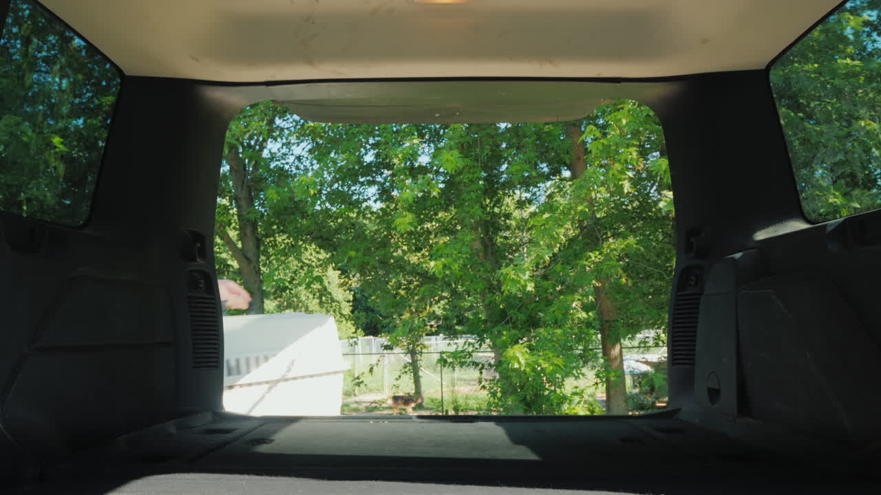 한 여성이 차 트렁크에 강아지와 함께 우리를 싣고 보호소 개념에서 개를 얻습니다.