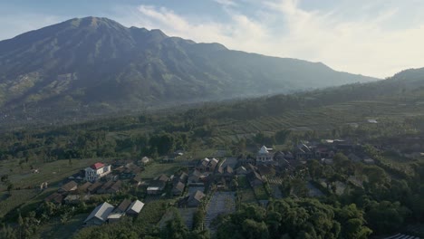 Aerial-view-of-village-surrounded-by-green-land-of-agricultural-field-with-huge-mountain-on-the-background