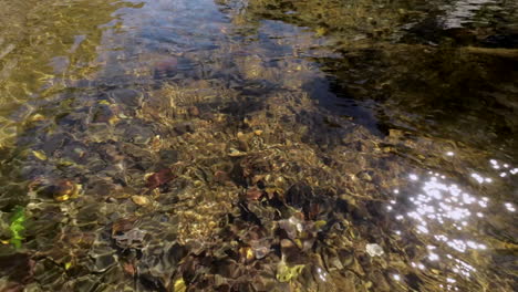 sunlight sparkles off the surface of a beautiful fresh water stream in missouri on a pretty autumn day