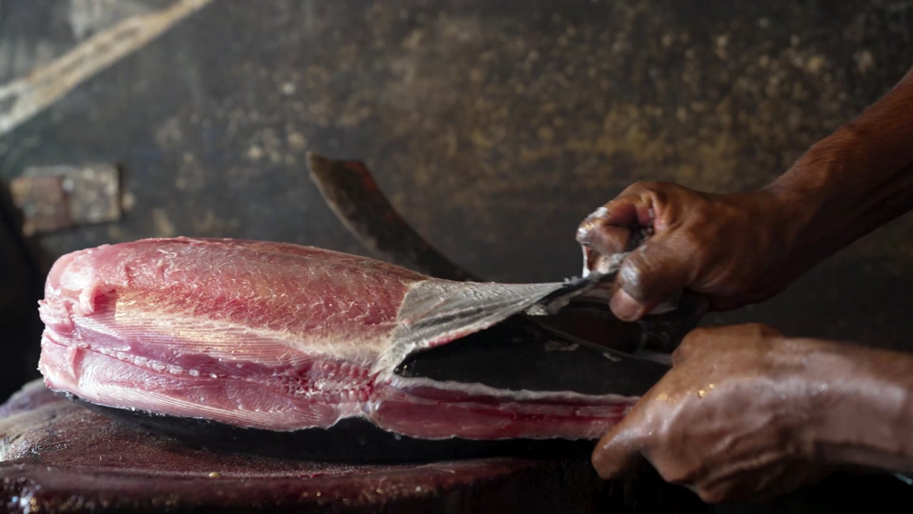 Close-up of a tuna being scaled at a local market in Sri Lanka, highlighting traditional food preparation and fresh seafood.