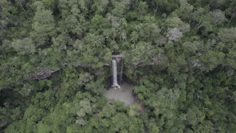 una cascada sobre un bosque exuberante