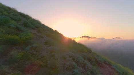 Luftaufnahmen-Von-Kalifornischen-Mohnfeldern-Und-Bergen-Und-Frühem-Sonnenaufgang-Mit-Hereinrollendem-Nebel
