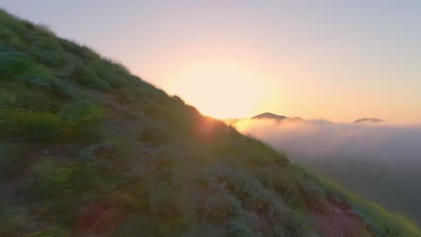 aerials of california poppy fields and mountains and early sunrise with fog rolling in