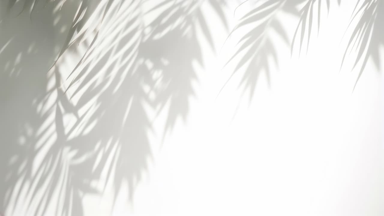 Soft shadows of palm leaves cast on a white wall, creating a serene and minimalist backdrop