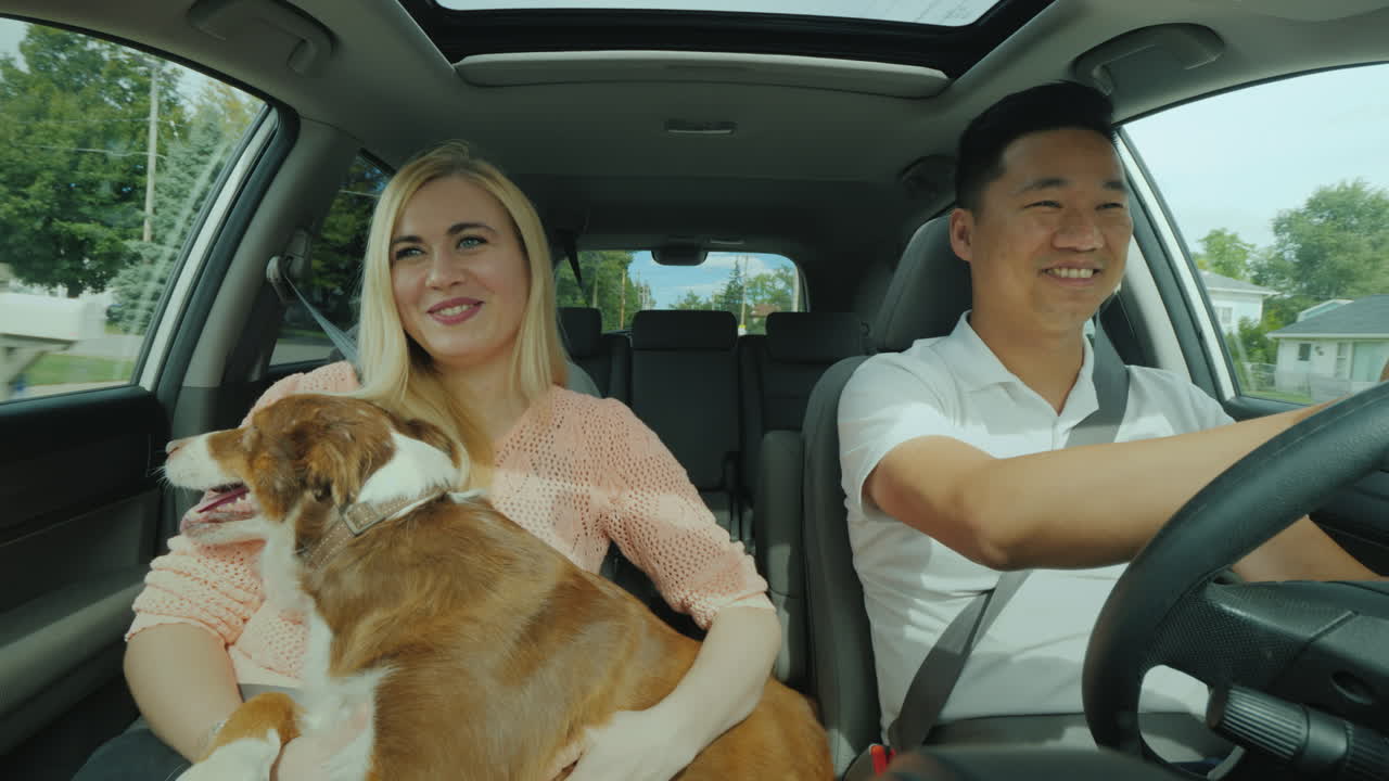 alegre pareja multiétnica montando en el camión con un perro grande en la vista frontal de sus brazos