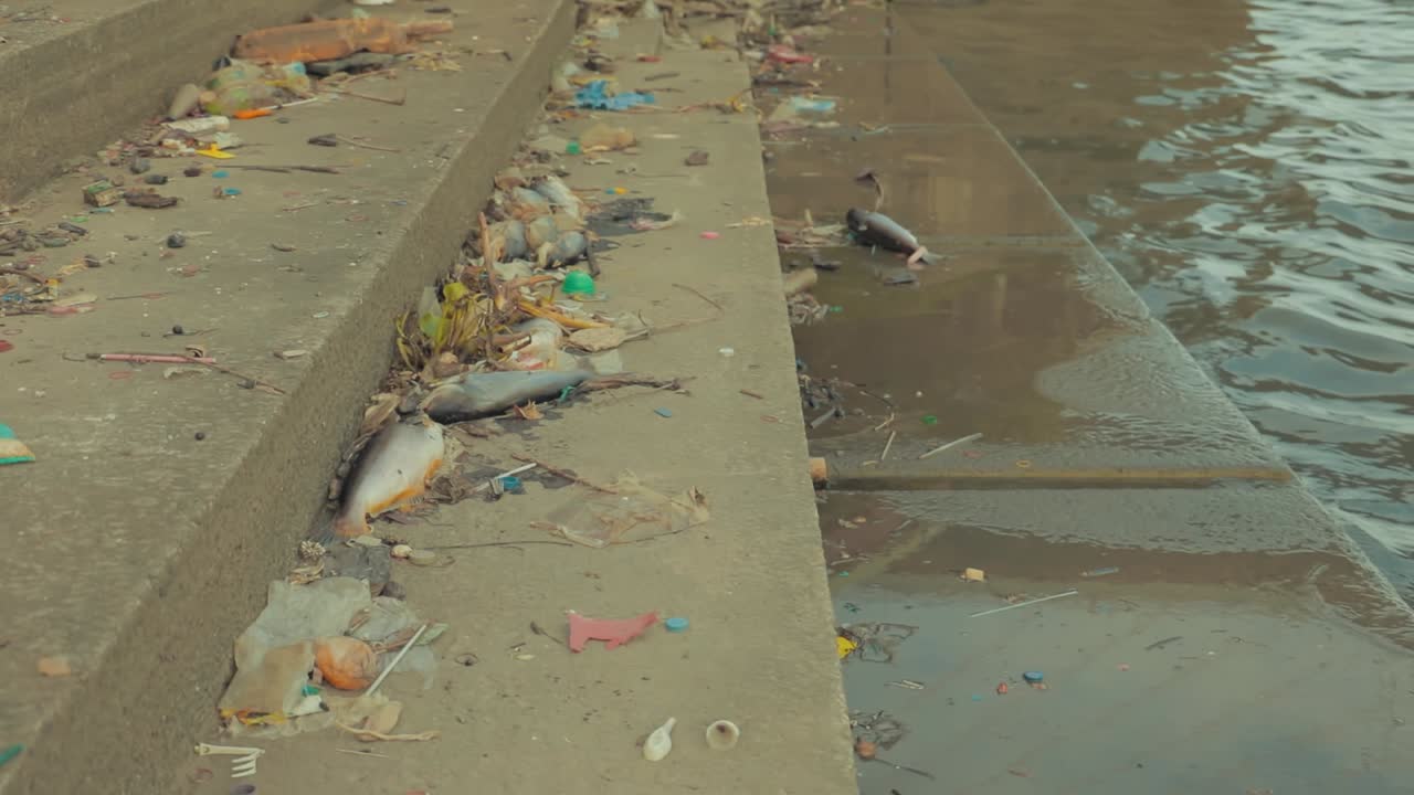 You can see the garbage of the river in a public park