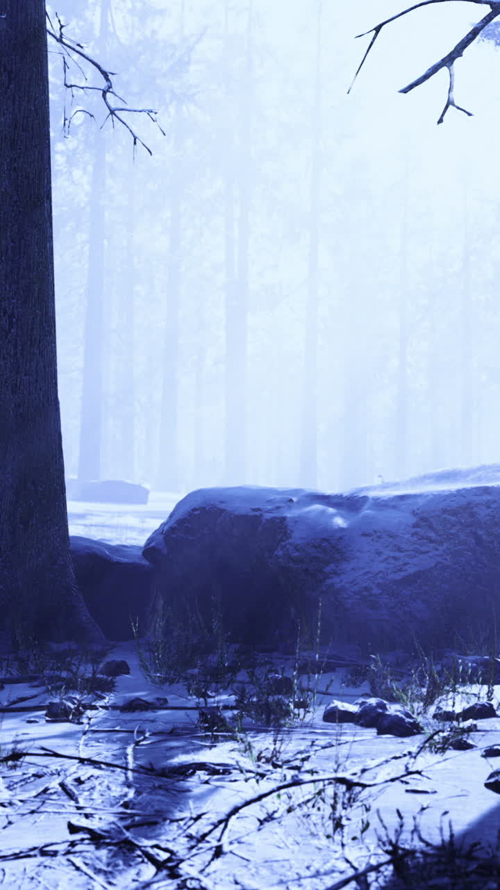 Enchanting dusk atmosphere with colossal trees and peaceful mood