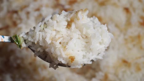 close-up of a spoonful of cooked rice