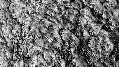 4k tejido orgánico abstracto.
