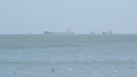 scenic view waterfowl birds floating in calm ocean with industrial ships in distance on a misty sky