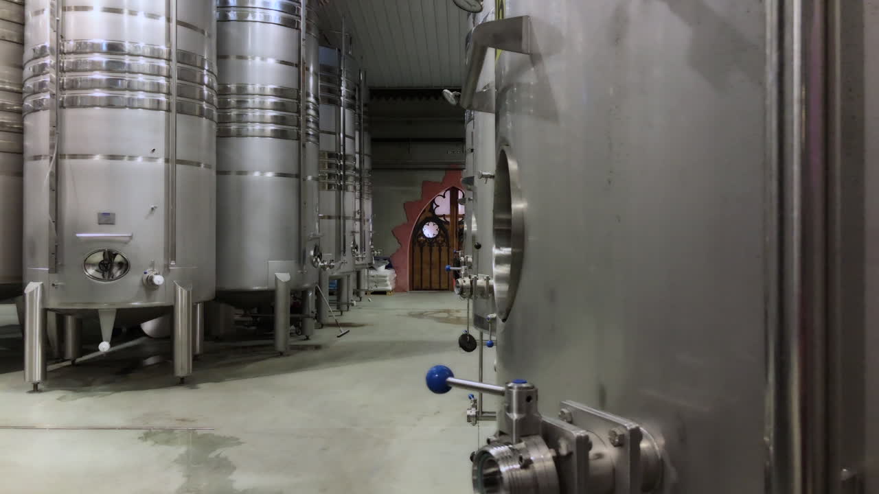 Bodega Gotica is a family business that has been producing grapes for several generations in the municipality of Rueda