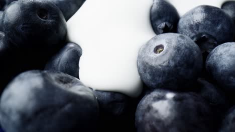 macro video of blueberries covered with yoghurt