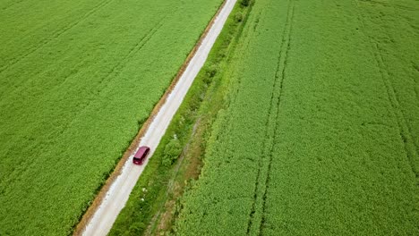 aerial landscape shot of claret van driving on gravel road between green agricultural fields hungary europe