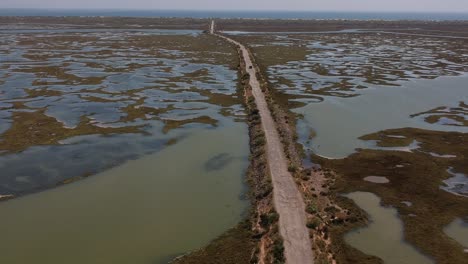 un disparo que se eleva sobre un pantano con una carretera