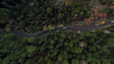 Auto-Fährt-Langsam-Auf-Asphaltierter-Straße,-Die-Sich-Durch-Den-Wald-Schlängelt,-über-Kopf