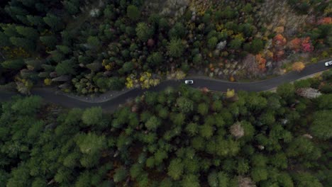 car driving slowly on asphalt road winding through forest, overhead