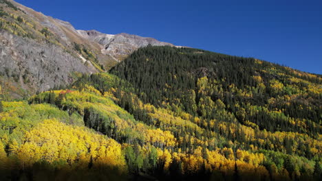 Yellow-Aspen-and-Green-Pines-Forest-on-Sunny-Autumn-Day-in-Rural-Colorado-USA,-Drone-Aerial-View