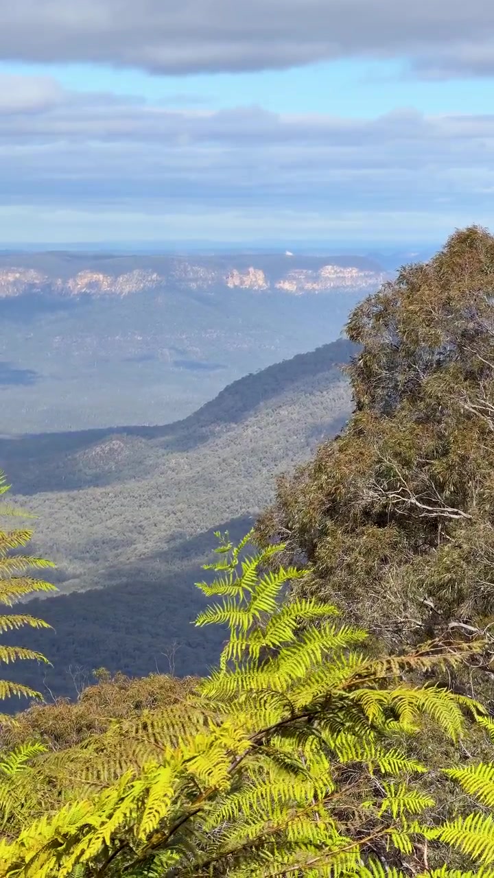 Statisk vidvinkelbillede af sandstensklipper og eukalyptusskov i Blue Mountains Nationalpark, Australien