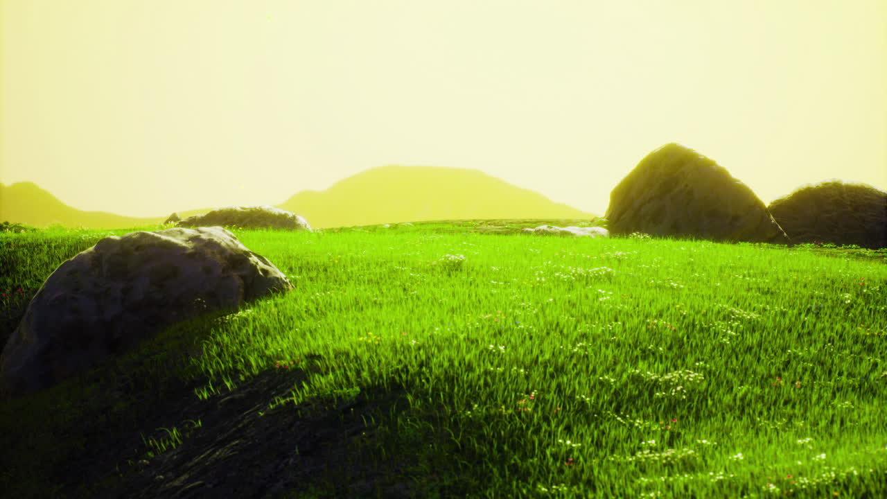 Natural landscape with lush green grass and large rocks under golden sunlight