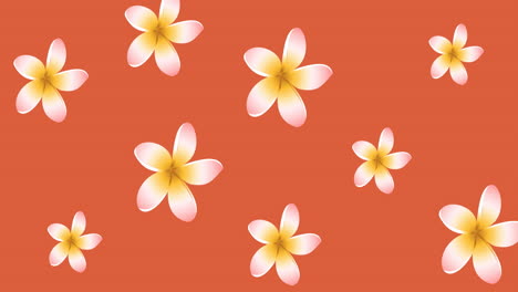 animation of yellow flowers pulsating in formation over orange background