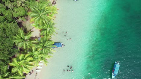 top view of estrella beach located in the caribbean sea in bocas del toro, panama