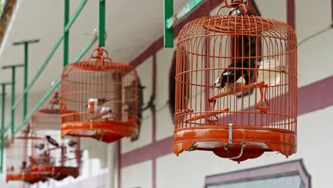 Assorted-bird-cages-for-sale-near-the-Yuen-Po-Bird-Garden-in-Mongkok,-Kowloon,-Hong-Kong