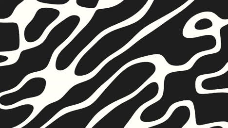 dynamic zebra print bold black and white stripes, perfect for fashion and decor