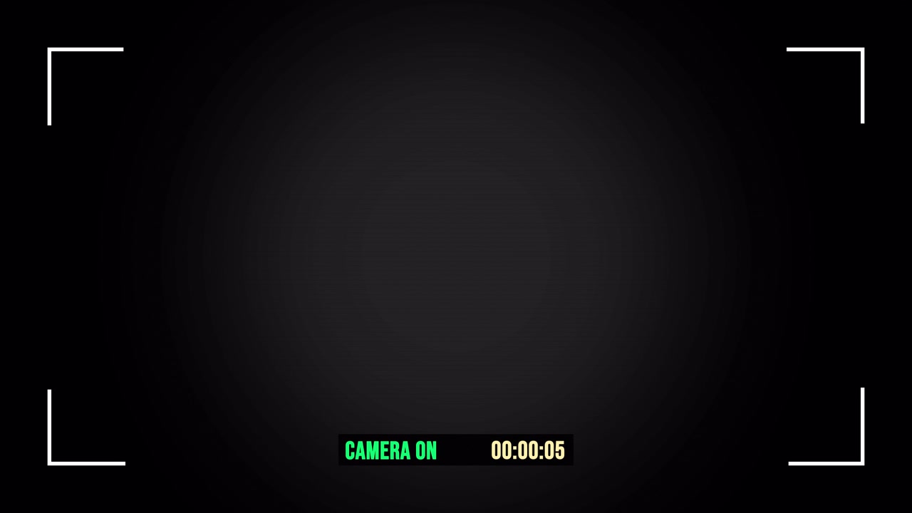 Digital Camera Viewfinder Interface with Recording Timer