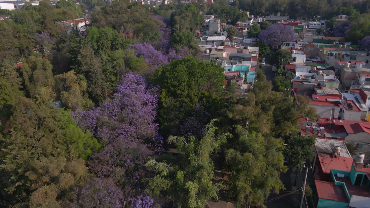 vista aérea ascendente sobre los suburbios de la capital de la ciudad de méxico con techos de arquitectura de casas tradicionales y paisaje urbano de fondo en primavera con coches en el tráfico