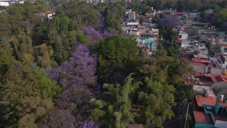 Aerial-rising-view-over-capital-Mexico-city-suburbs-with-traditional-house-architecture-rooftops-and-cityscape-background-in-spring-with-cars-in-traffic