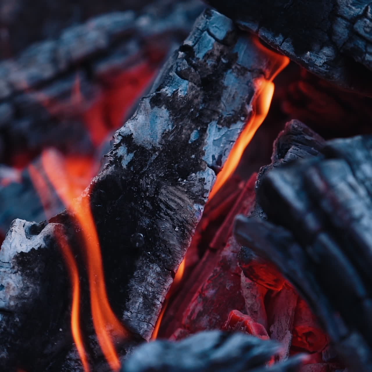 Burning Wood. Burning fire in a home fireplace. Slow motion