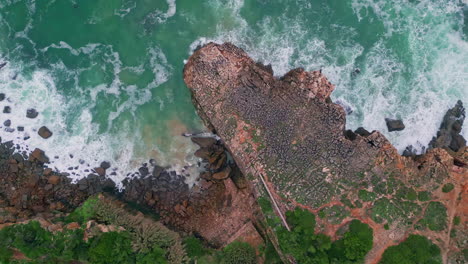 Turquoise waves crashing rugged coastline covered vivid greenery top view.
