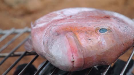 장작불 위에 붉은 도미의 전통적인 스페인 베수고 바비큐, 클로즈업