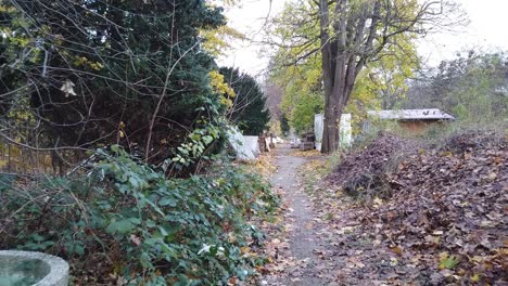 a-walk-on-a-small-path-in-the-woods-in-Berlin-Germany-Nature-dead-leaves-trees-colors-of-Autumn-HD-30-FPS-6-secs