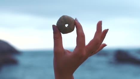 hands, shell and ocean with the hand of a woman