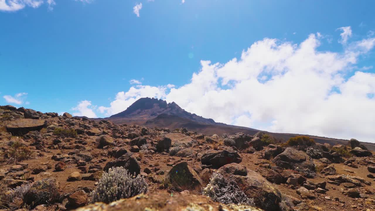 toma de lapso de tiempo de rocas, plantas y naturaleza, cielo azul y las nubes moviéndose sobre la cumbre del monte kilimanjaro, en un día soleado, en tanzania, áfrica