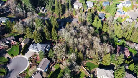 4k-Luftdrohnenaufnahme-Mit-Blick-Auf-Die-Häuser-Der-Vorstadtnachbarschaft-In-Portland,-Oregon