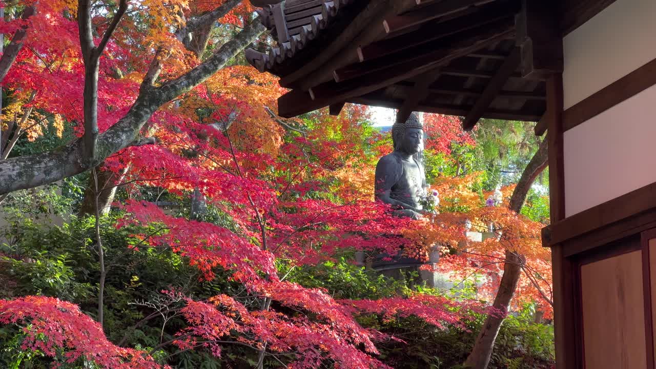 Stunning fall color scenery at Japanese temple with Buddha statue