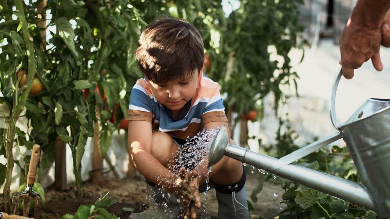 video de mano de un niño lavándose las manos después de plantar plántulas