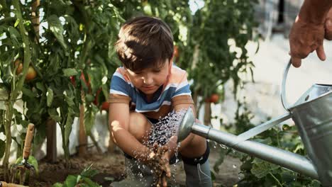 Handheld-video-of-boy-washing-his-hands-after-planting-seedlings