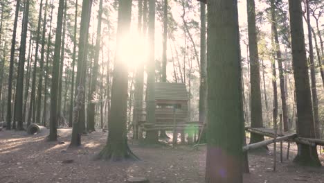 wooden playhouse in a forest