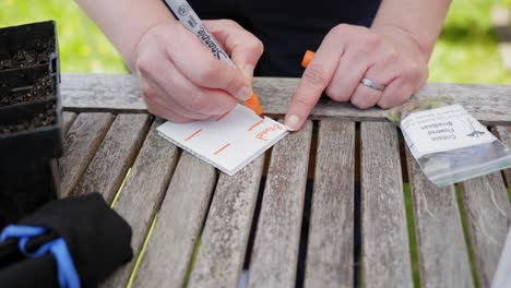 gente escribiendo en una tarjeta los nombres de la planta en una mesa en el jardín