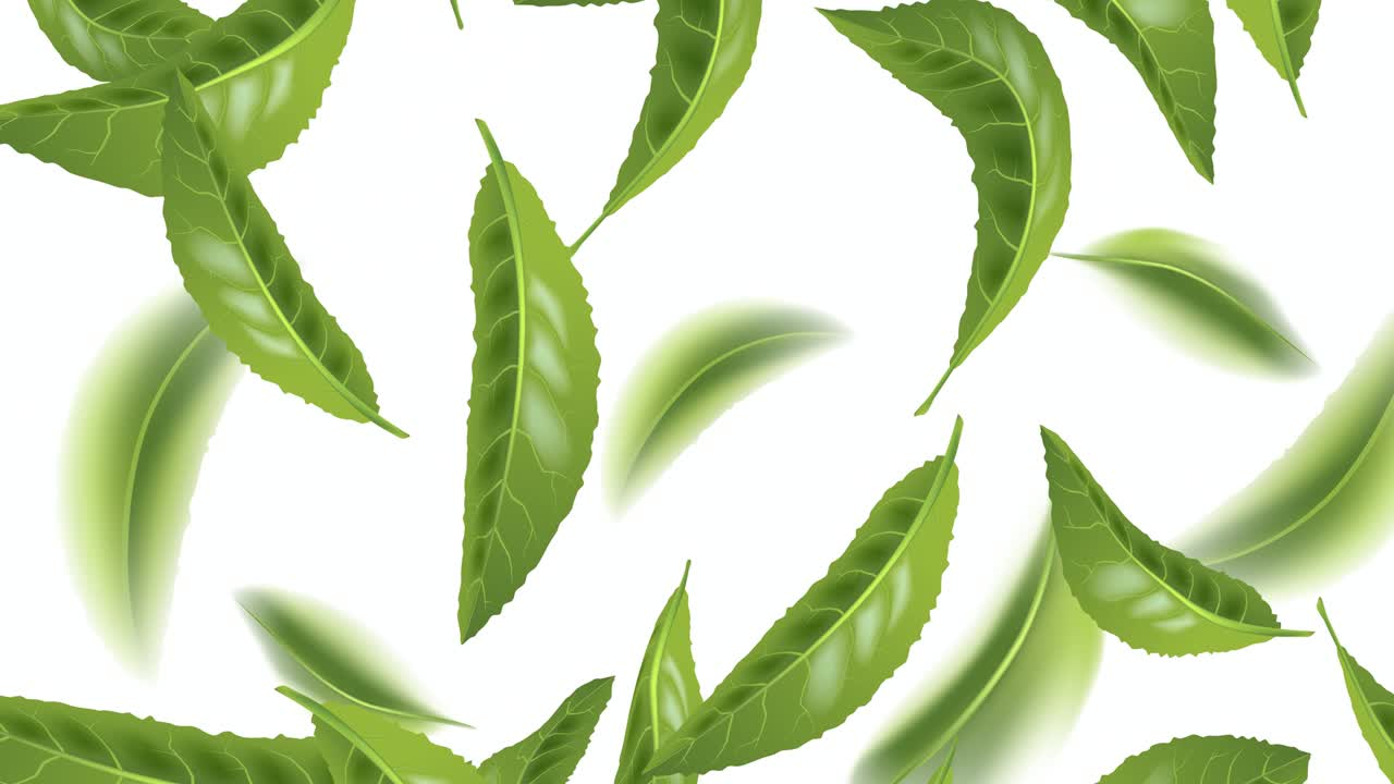 animada hermosa hoja de té verde voladora aislada sobre fondo blanco. patrón de bucle sin costuras con follaje para su diseño. el té verde premium para una buena salud. movimiento gráfico 4k