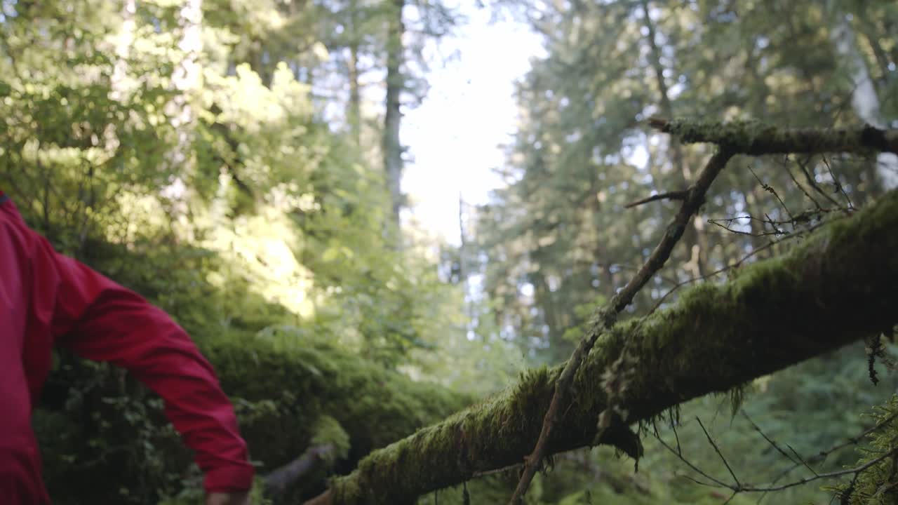 joven saltando sobre un árbol talado en el bosque de alaska en un día soleado de verano, cámara lenta de cerca en ángulo bajo
